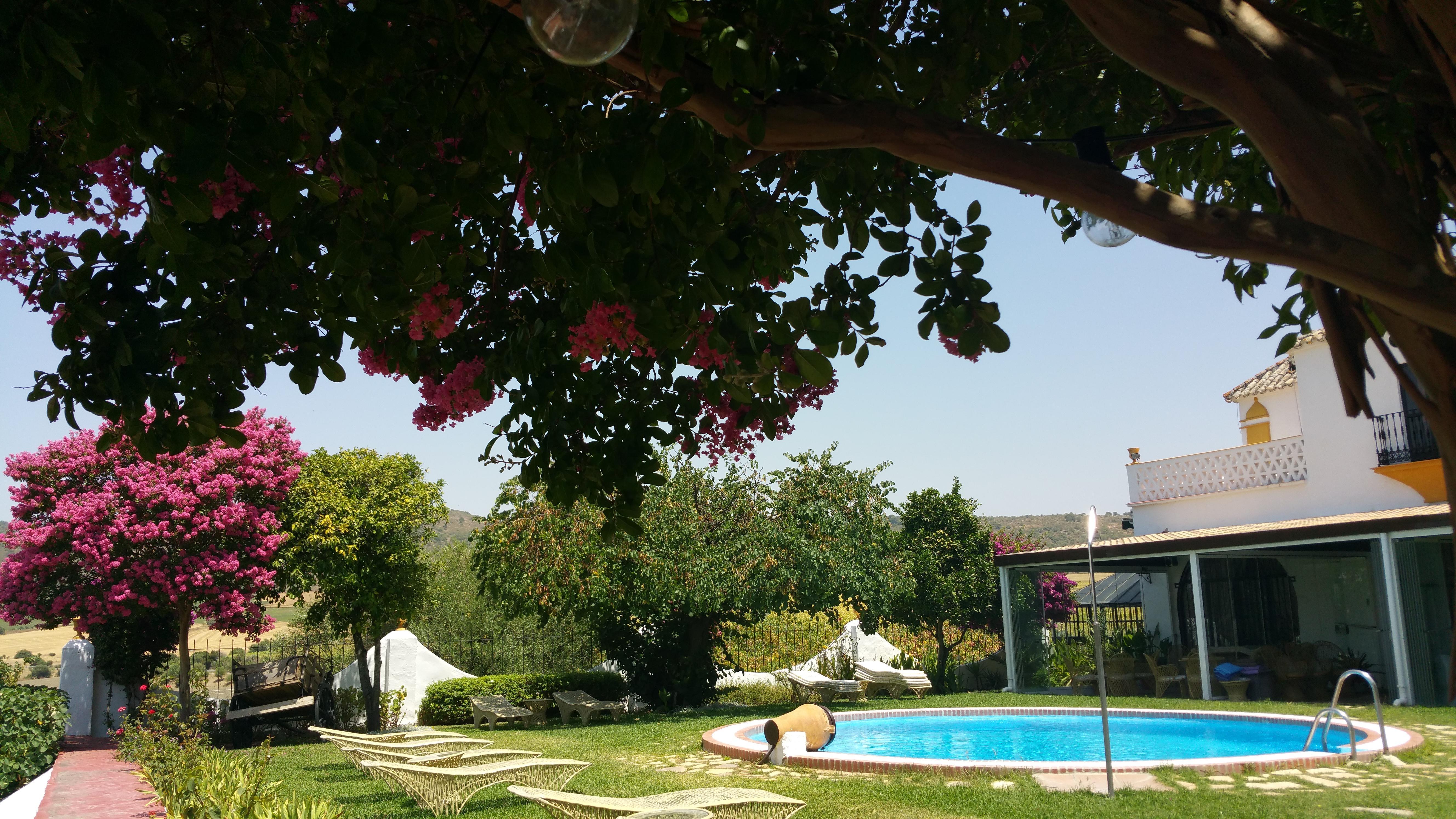 Hacienda El Santiscal Adults Only Ξενοδοχείο Arcos de la Frontera Εξωτερικό φωτογραφία