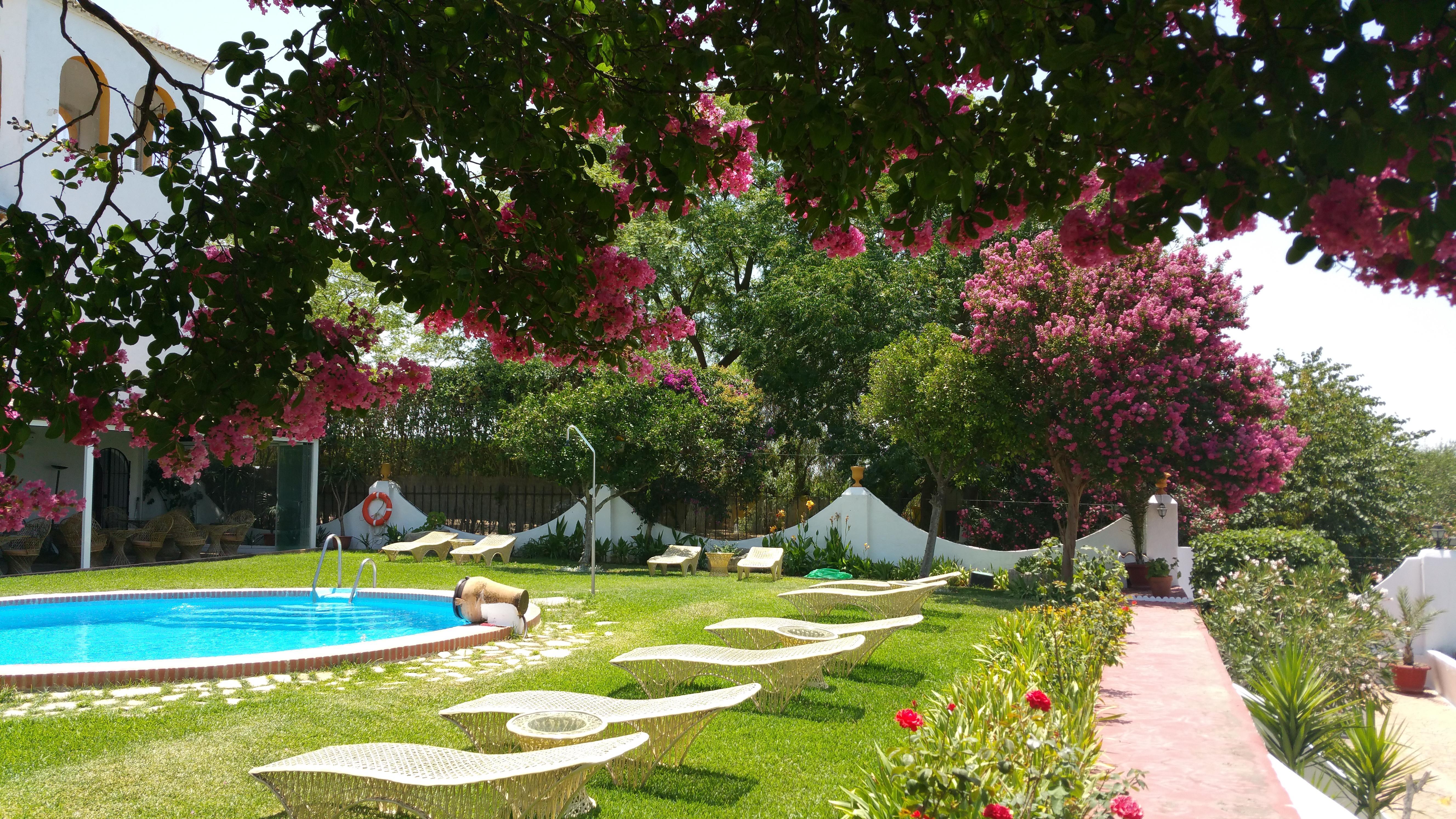 Hacienda El Santiscal Adults Only Ξενοδοχείο Arcos de la Frontera Εξωτερικό φωτογραφία