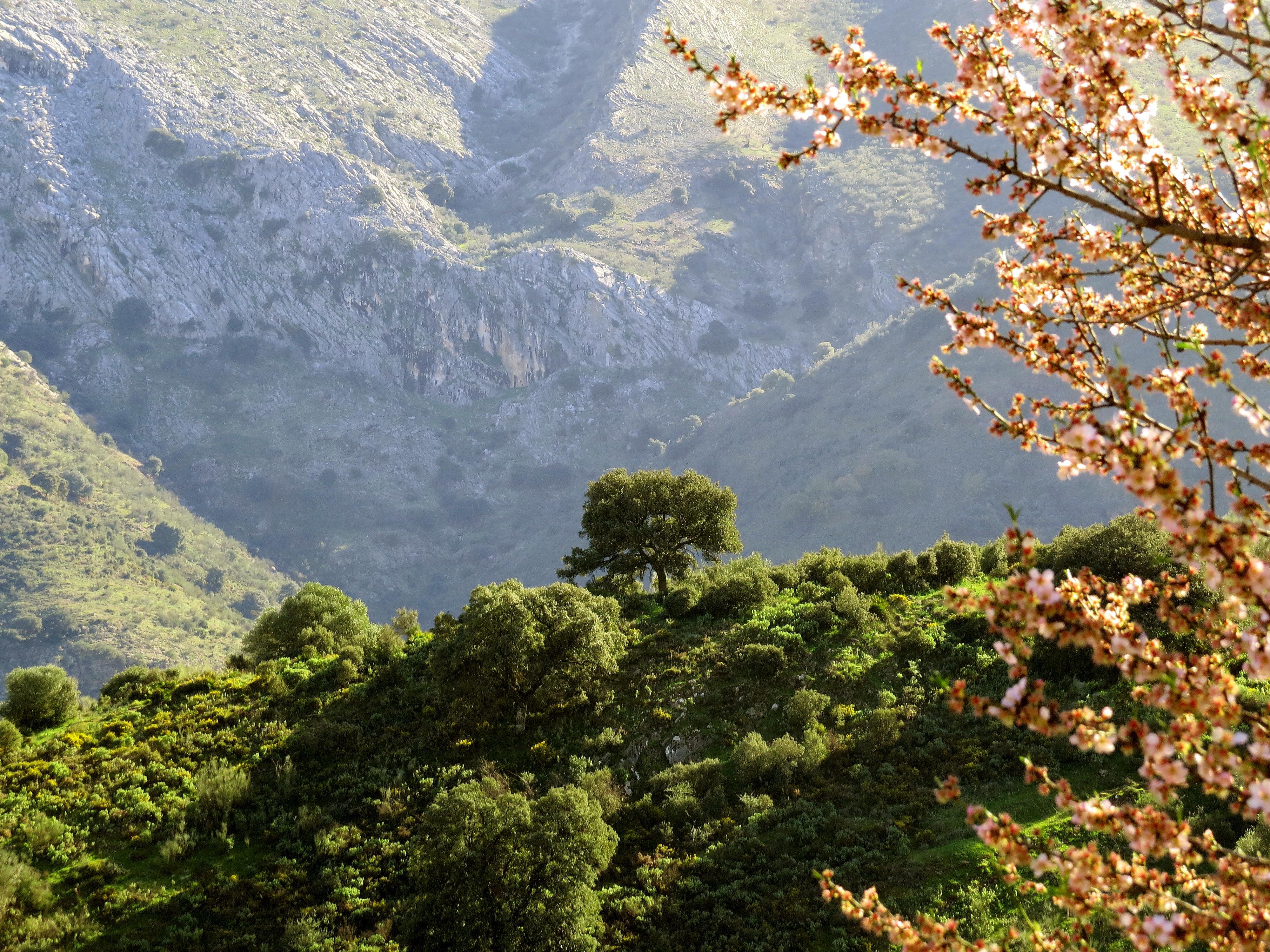Hacienda El Santiscal Adults Only Ξενοδοχείο Arcos de la Frontera Εξωτερικό φωτογραφία