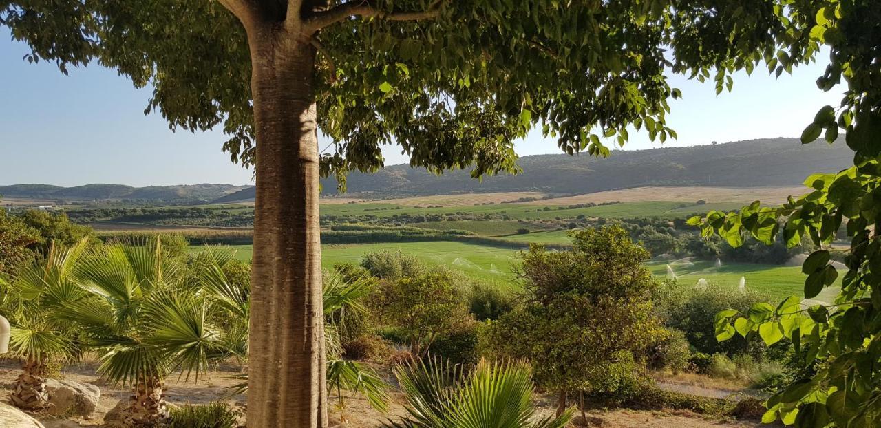Hacienda El Santiscal Adults Only Ξενοδοχείο Arcos de la Frontera Εξωτερικό φωτογραφία