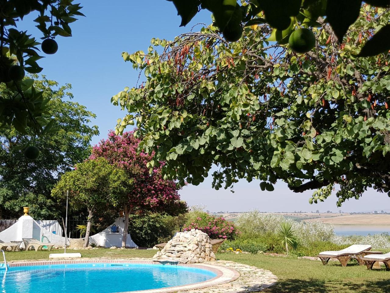 Hacienda El Santiscal Adults Only Ξενοδοχείο Arcos de la Frontera Εξωτερικό φωτογραφία